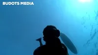 Underwater videography, Philippines