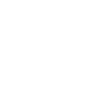 The Brides at Triton Wedding Expo